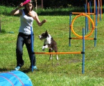mini agility